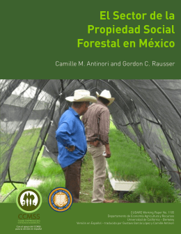 folleto forestal 12 julio