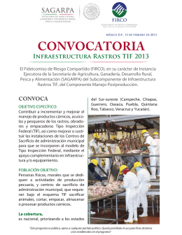 folleto convocatoria tif ok 2013