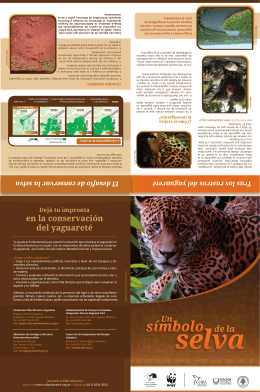 folleto yaguarete02