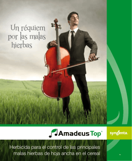 Amadeus Top