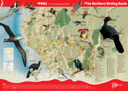 folleto aves norte (ingles)R 7