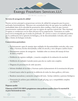 Energy Frontiers Services folleto promocional