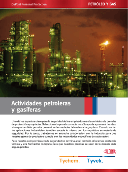 Actividades petroleras y gasíferas