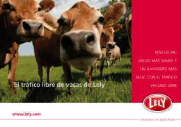 El tráfico libre de vacas de Lely