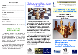 Taller ajedrez verano 2013 folleto.pub