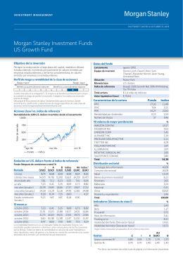 Morgan Stanley Investment Funds US Growth Fund