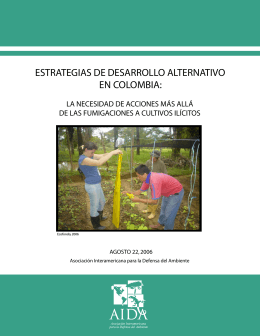 Estrategias de desarrollo alternativo en Colombia