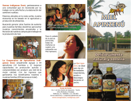 folleto para el consumidor de nuestra Miel ApinZenú