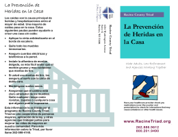 Triad Home Injury Prevention Safety Brochure Spanish
