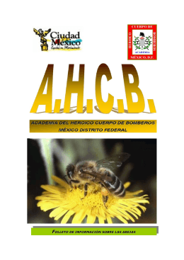 Información sobre las abejas