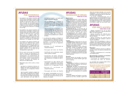 02.folleto ayudas economicas - Comisiones Obreras de Navarra