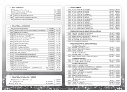 2013 Lista Precios y Accesorios - Frente P08
