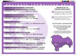folleto acciones formativas DIPUEMPLEA cuadros 2013