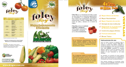 folleto FoleyRey