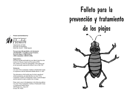 Lice Aren`t Nice Brochure - Spanish