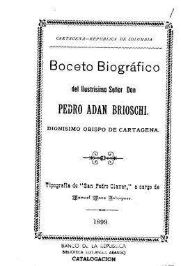 Boceto biográfico del Ilustrísimo señor don Pedro Adán Brioschi