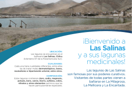 ¡Bienvenido a Las Salinas y a sus lagunas