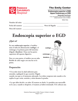 Upper Endoscopy or EGD (Endoscopia superior o EGD) 953 105s