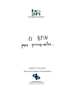 BPIN PRINCIPIANTES - Fundación Colombiana de Tiempo