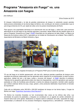 Programa "Amazonía sin Fuego" vs. una Amazonía con fuegos