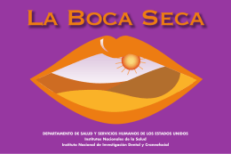 La Boca Seca - Wellness Proposals