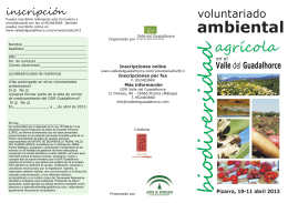 folleto voluntariado2013web