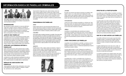 INFORMACIÓN BÁSICA DE PANDILLAS CRIMINALES