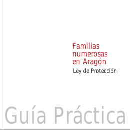 Guía práctica para familias numerosas en Aragón