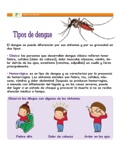 4.1 Tipos de dengue