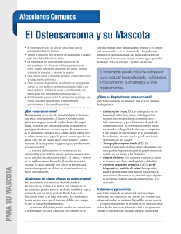 El Osteosarcoma y su Mascota