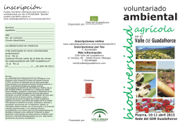 folleto voluntariado2013web(1)