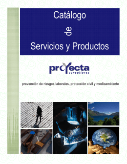 Folleto Proyecta Consultores 2012