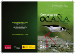 cubiertas folleto OCAÑA.indd - Asociación Comarcal Don Quijote de