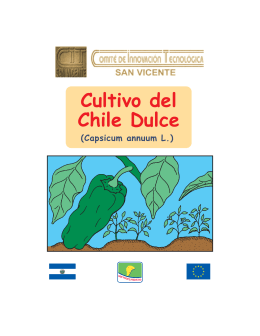 Cultivo del Chile Dulce.FH11