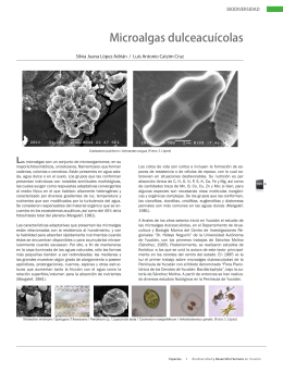 Microalgas dulceacuícolas. Formato PDF