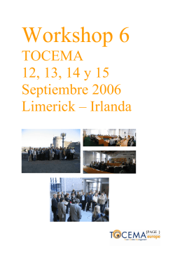 tocema workshop limerick