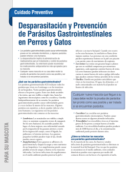 Desparasitación y Prevención de Parásitos Gastrointestinales en