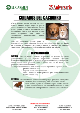vacunas de cachorro - El Carmen Veterinarios