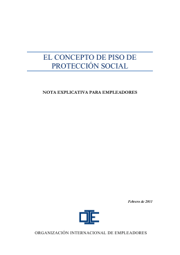 EL CONCEPTO DE PISO DE PROTECCIÓN SOCIAL