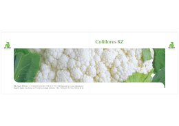 Catálogo Coliflores (PDF 0,2 MB)