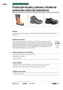 Protección de pies y piernas: Calzado de protección contra las