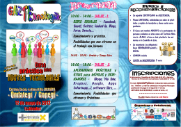 Programa CASTELLANO Folleto 2012_TICs