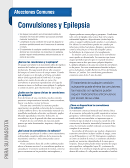 Convulsiones y Epilepsia