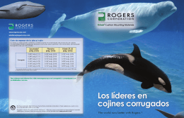R/bak SF - Rogers Corporation