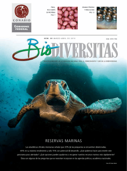 Biodiversitas - Cabo Pulmo Vivo