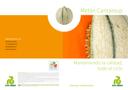 Catálogo Melón Cantaloup. Levante 2014