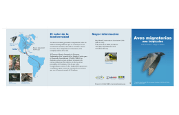 folleto aves migratorias español final
