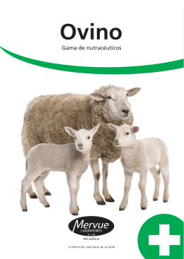 Ovino y caprino - Inform Nutrition