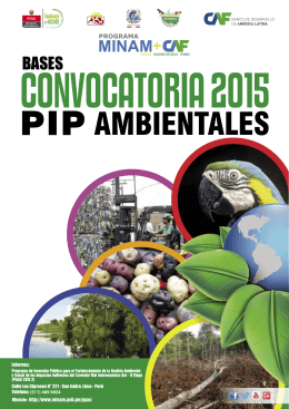 (PIP) Ambientales - Ministerio del Ambiente