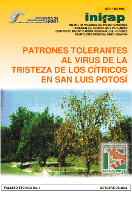 PATRONES TOLERANTES AL VIRUS DE LA TRISTEZA DE LOS